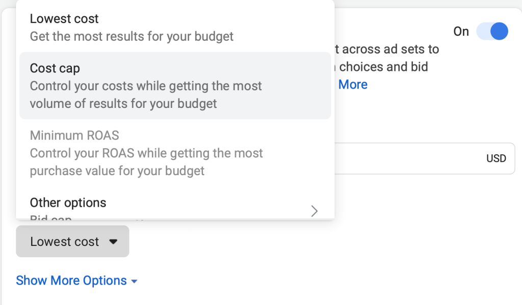 A screenshot of a cost cap bidding strategy on Facebook.
