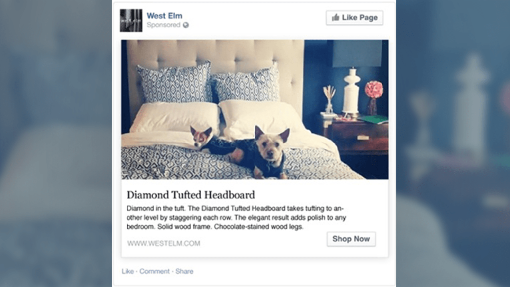A West Elm ad displaying user-generated content.